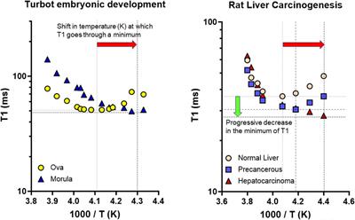 The biophysics of water in cell biology: perspectives on a keystone for both marine sciences and cancer research